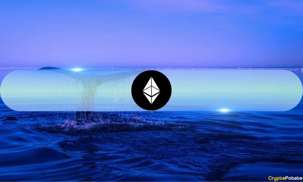 Ethereum Sharks and Whales Are Back: What Does it Mean for ETH’s Price?