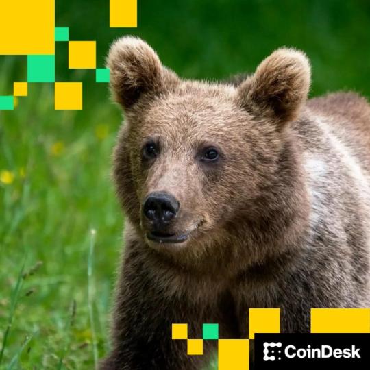 Michael Saylor’s MSTR Holds Onto Premium Amid Waning Sentiment. Can Others Do the Same? Michael Saylor's MSTR Holds Onto Premium Amid Waning Sentiment. Can Others Do the Same?