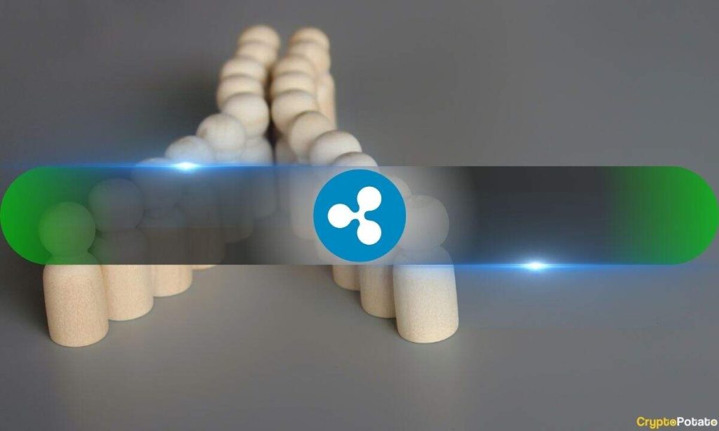 Relief Rally or Bull Trap? Why This Analyst Says XRP Is Heading Below $1 Relief Rally or Bull Trap? Why This Analyst Says XRP Is Heading Below $1