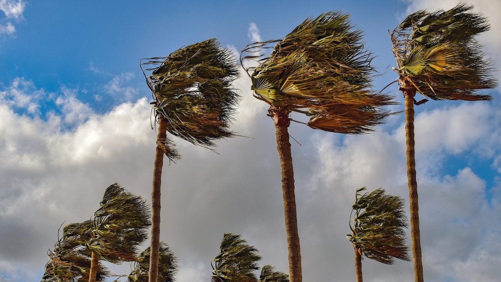 Cluster of headwinds gang up on bitcoin and wider crypto market Cluster of headwinds gang up on bitcoin and wider crypto market
